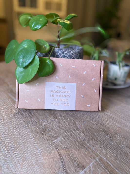 Oh My Bling! Box MINI